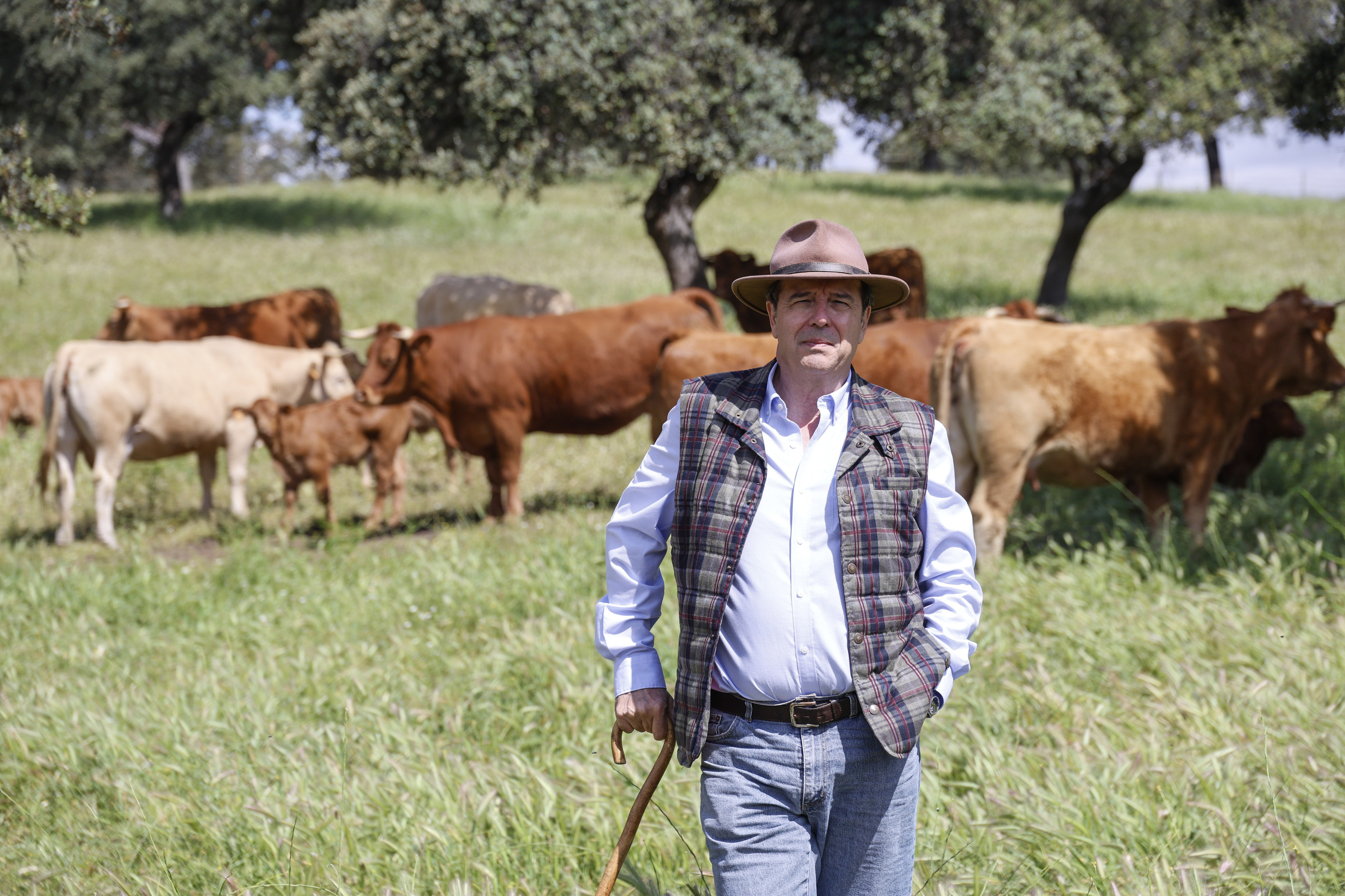 Fernando Adell, en la finca donde cría vacas, en Córdoba.
