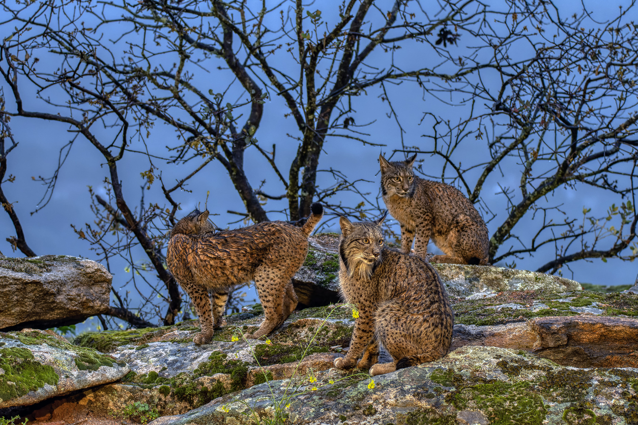 Foto: Fuente: iStock