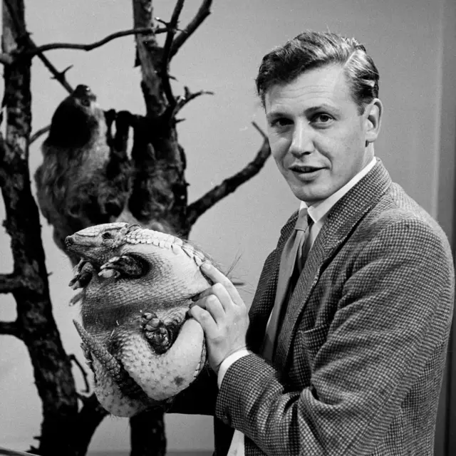 Fotografía en blanco y negro de una persona sosteniendo un armadillo, con ramas secas al fondo en un entorno interior.