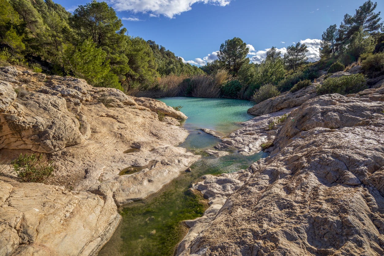 Foto: (Fuente: iStock)