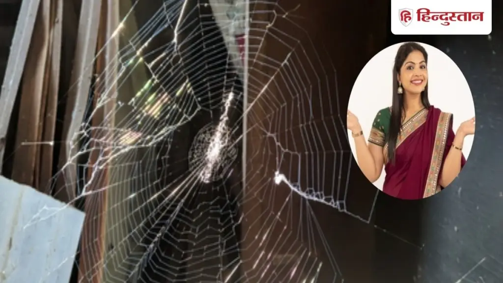 Adiós a cada araña: el truco del vinagre blanco para alejarlas en 1 minuto