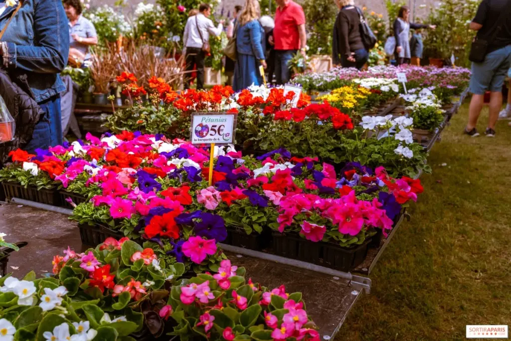 Adiós a comprar: El truco para renovar tu jardín gratis en la Fête des plantes de Méry-sur-Marne