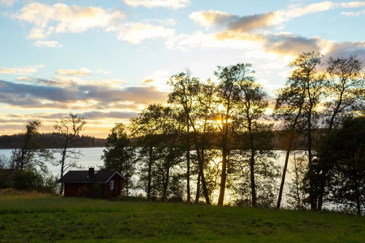 Adiós a la ciudad: por 54.000 € hoy puedes construir tu refugio en Orivesi junto al Kutemajärvi - image 1