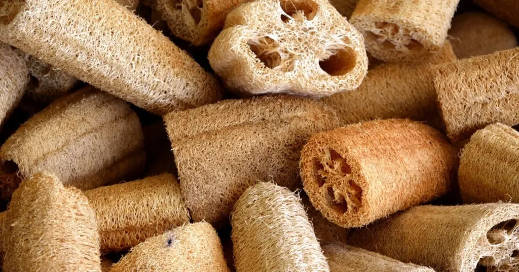 Adiós a la esponja de cocina: el truco de 60°C para eliminar bacterias