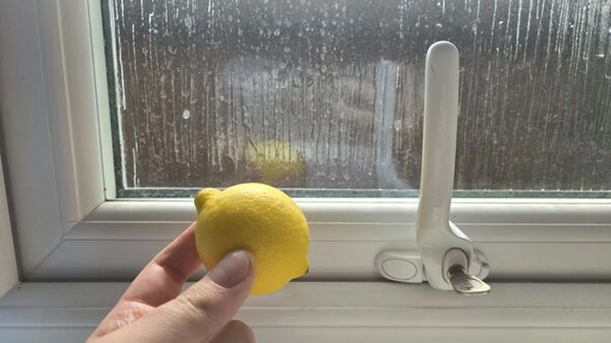 Adiós a las arañas: por qué froto un limón en mis ventanas cada otoño - image 1