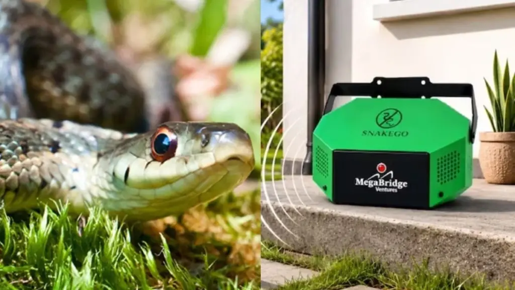 Adiós a la Serpiente (Cobra): el Dispositivo repelente de serpientes infalible