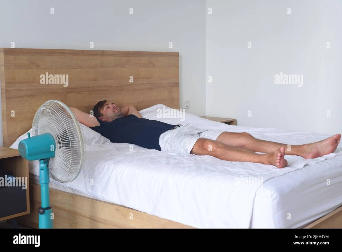 Adiós al calor: el truco para usar el ventilador sin inflar tu factura de la luz - image 1