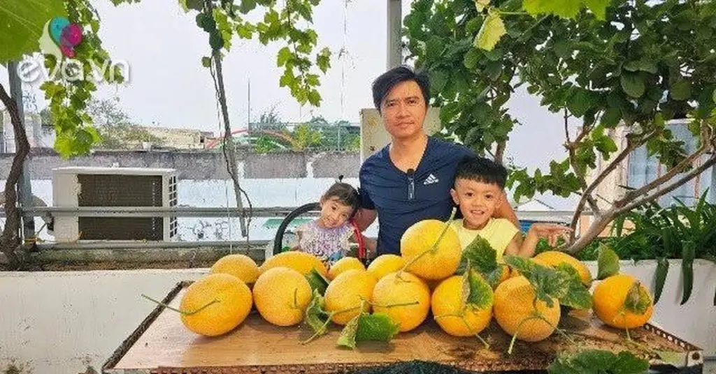 Adiós al estrés: El método de Lê Tuấn en Lâm Đồng para cultivar fruta en casa