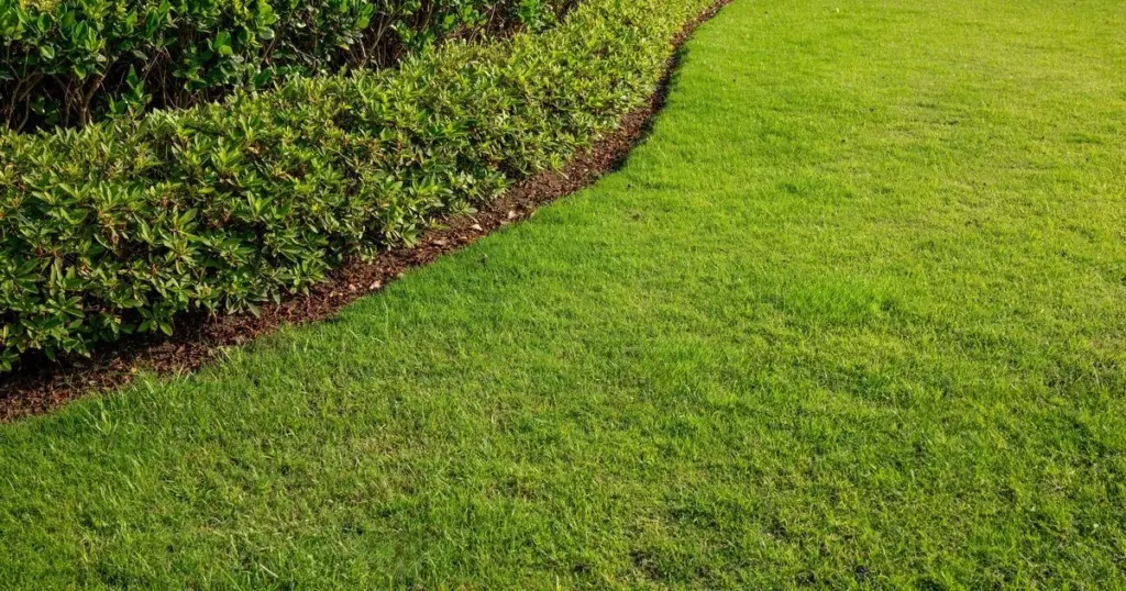 Adiós al musgo del césped: el truco manual de Alan Titchmarsh para 2026