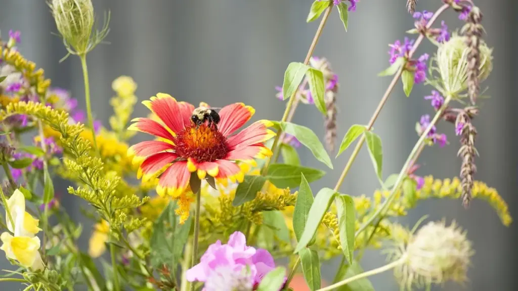 Adiós al riego: crea un Jardín de polinizadores con estas 7 plantas que aman la sequía