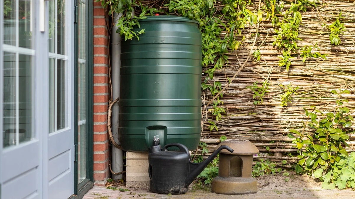 Adiós mosquitos y mal olor: el truco de Zdeněk para tu Agua de lluvia - image 1
