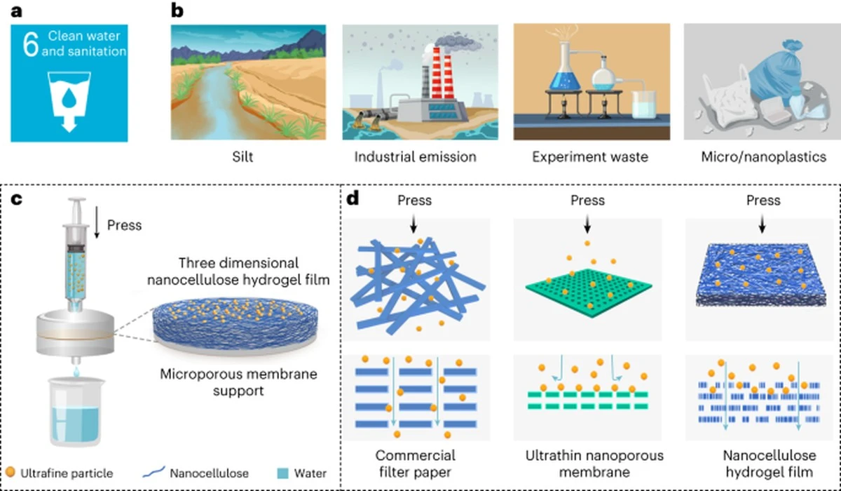 Agua pura sin químicos: el invento de Martinica Madin’O que revoluciona el campo - image 1