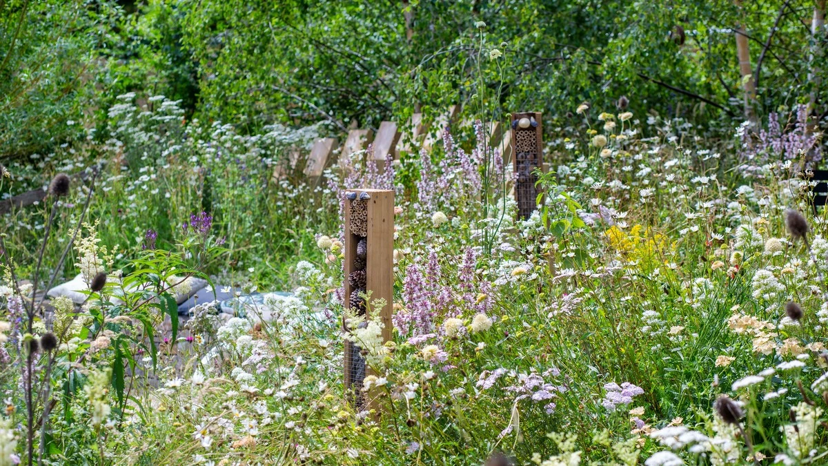 Ahorra 70% de agua: por qué el jardín salvaje es tendencia en naturaleza - image 1