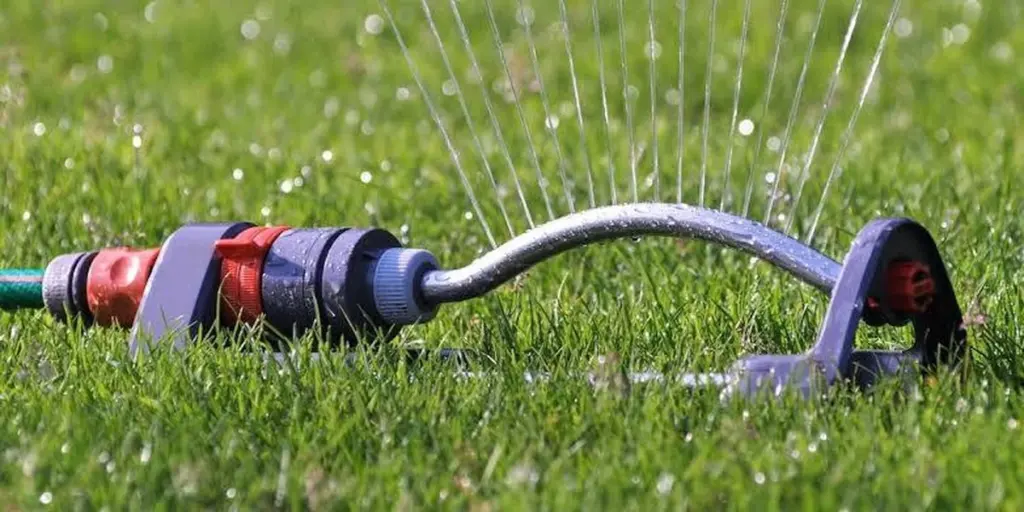 Ahorro en el jardín: el truco de la Ciudad de Lincoln para la conservación del agua