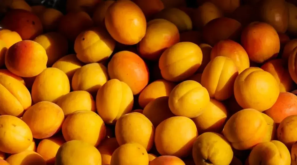 Albaricoque sano y sin plaga: el truco natural para salvar tu cosecha