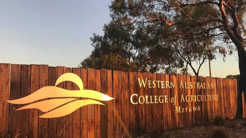 Alerta en WA College of Agriculture Morawa: veneno contra ratón cierra las aulas