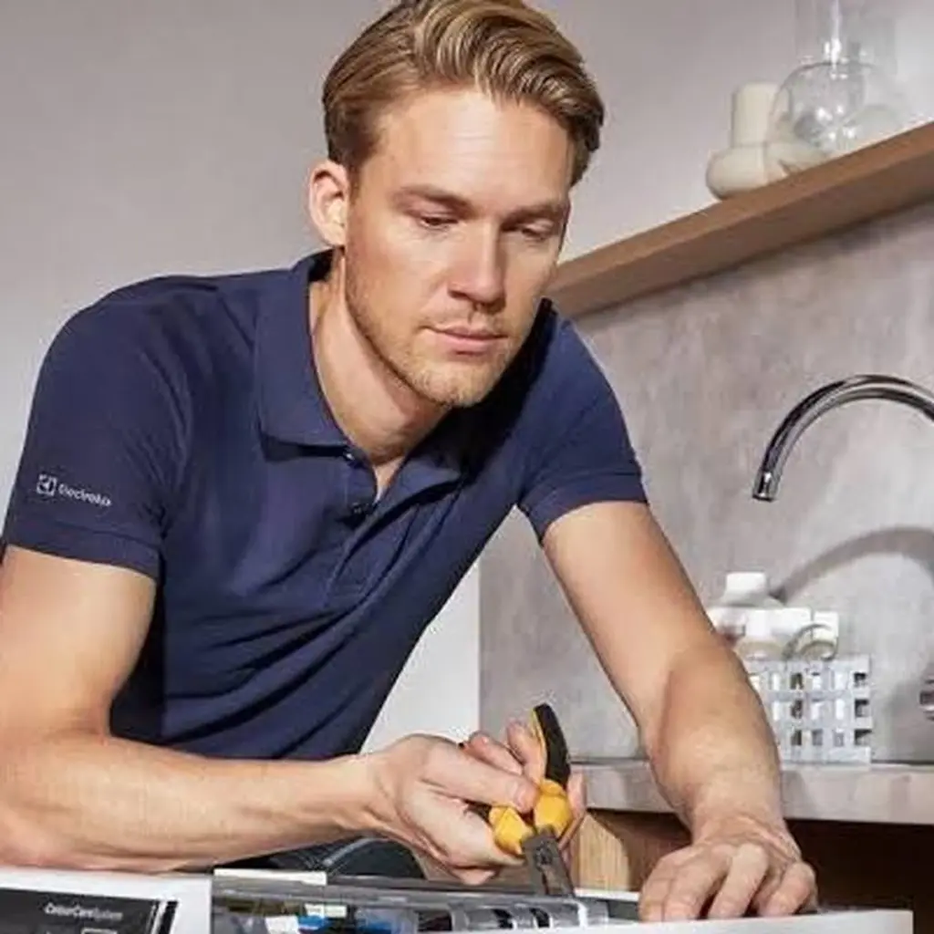 Avería en tu Electrolux: la regla de Juozas Skurdauskas para no perder dinero
