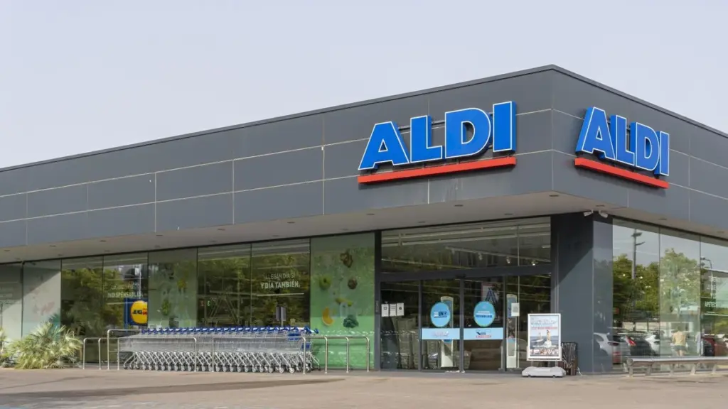 Bombazo en Aldi: la barbacoa de carbón portátil de 12€ que volará el 30 de mayo
