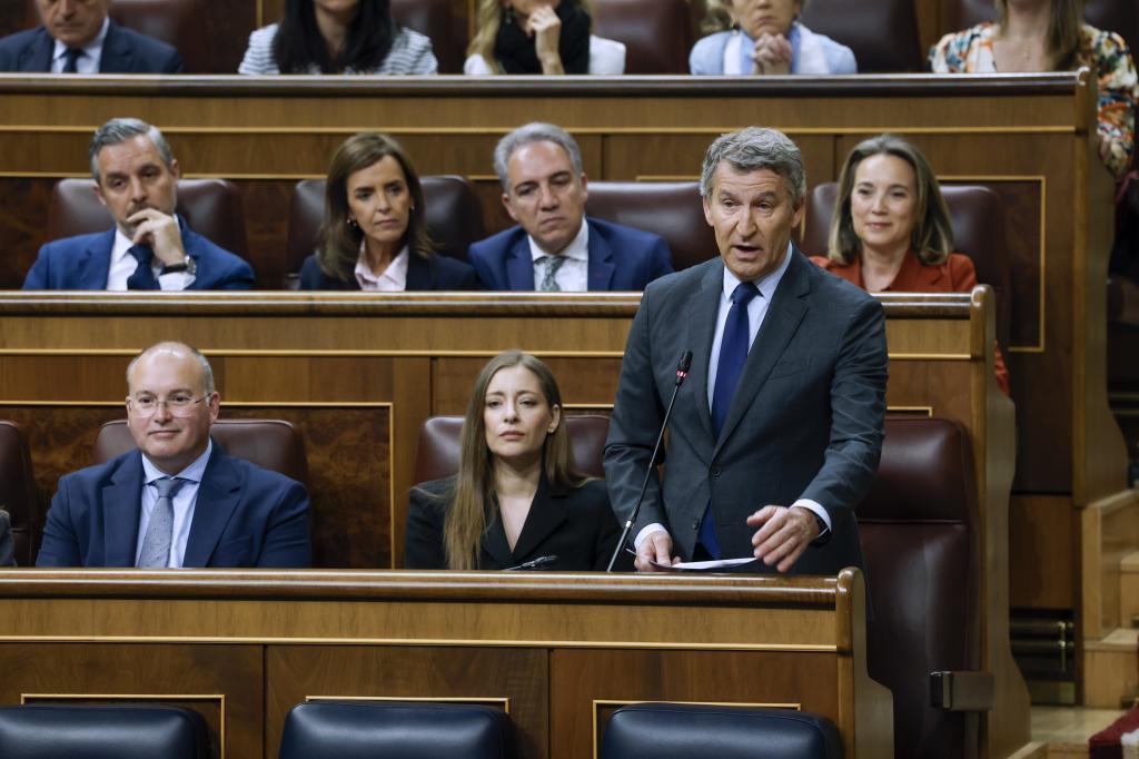 Alberto Núñez Feijóo, durante su turno de preguntas al Gobierno.