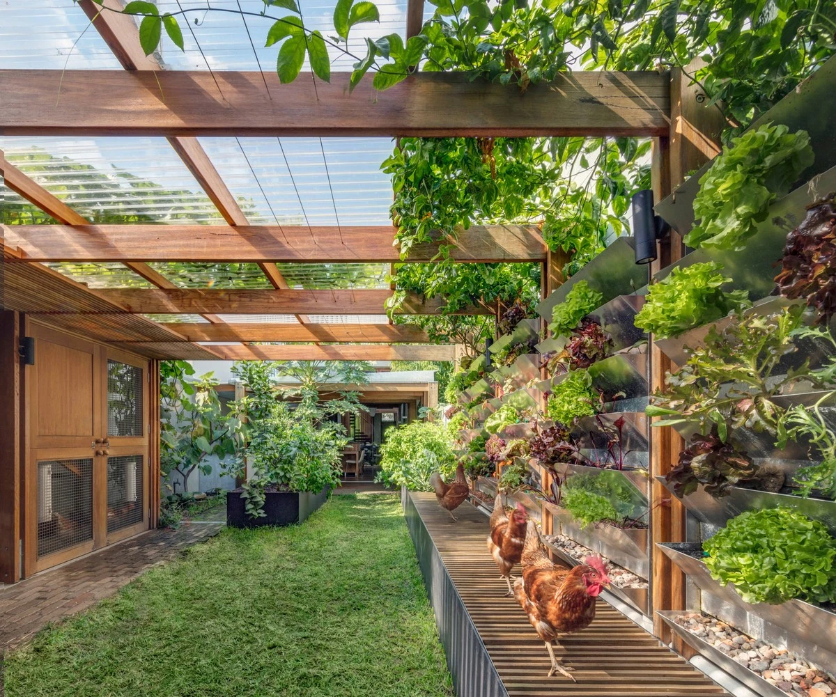 Cambio climático y jardines: el truco de Hungría para enfriar tu casa - image 1
