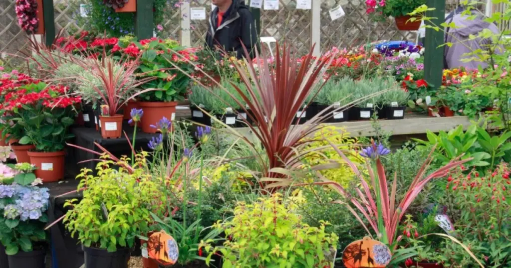 Cambio en Merryhatton Garden Centre: el relevo de Caulders para tu jardín
