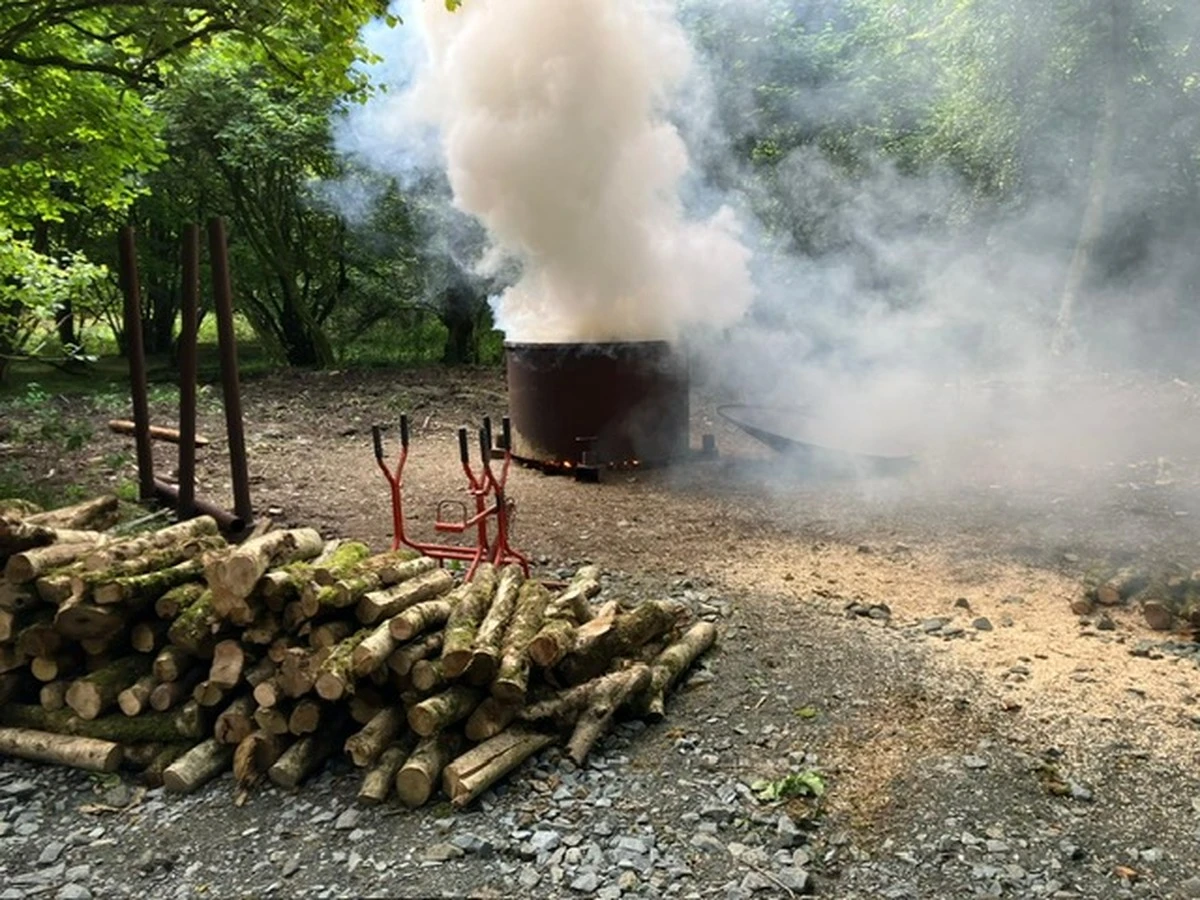 Carbón vegetal: el error que arruina tu asado y el secreto de T’Charbon - image 1