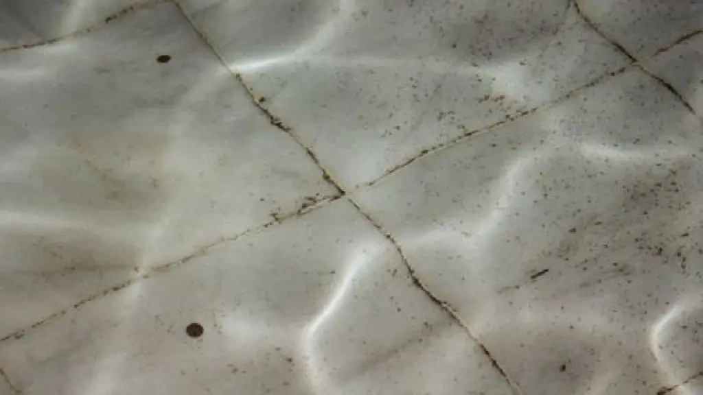 Cerámica blanca o Microcemento: el cambio que ahorra horas de limpieza