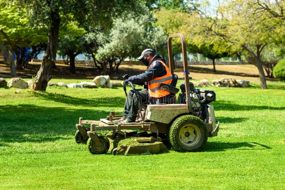 Césped perfecto por poco: el Gardena PowerMax 1100/32 de Lidl que ahorra luz - image 1