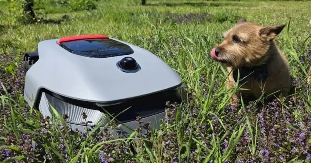 Césped perfecto sin esfuerzo: el Dreame Roboticmower A1 Pro ahorra 40 horas al año