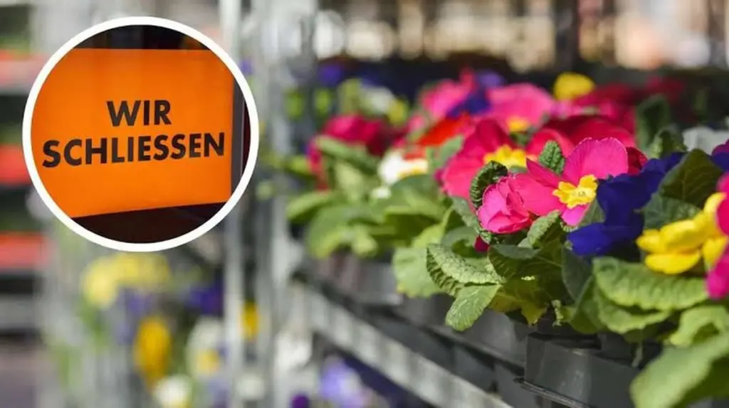 Cierre en Centro de jardinería Drücke: Antje Weber-Drücke ofrece descuentos del 70%