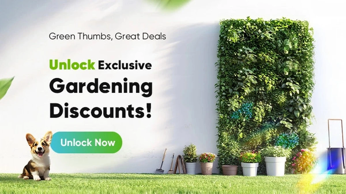 Cierre en Centro de jardinería Drücke: Antje Weber-Drücke ofrece descuentos del 70% - image 1