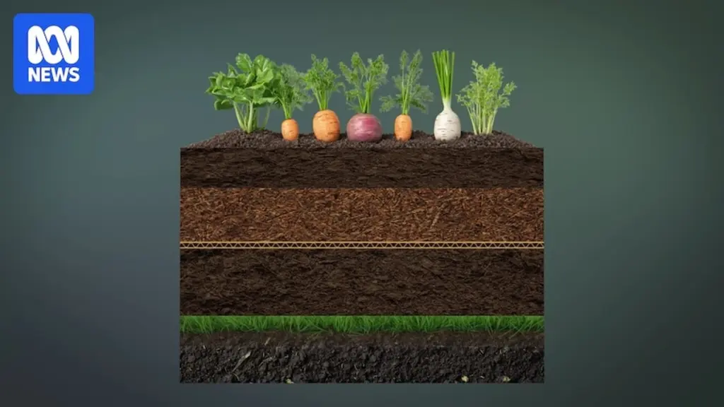 Costo de vida: el truco de horticultura doméstica para ahorrar 200€ al mes