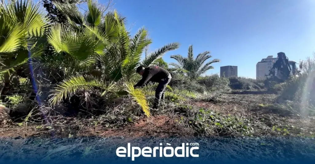 Cuidado del Clot de la Mare de Déu: el plan del Ayuntamiento de Burriana