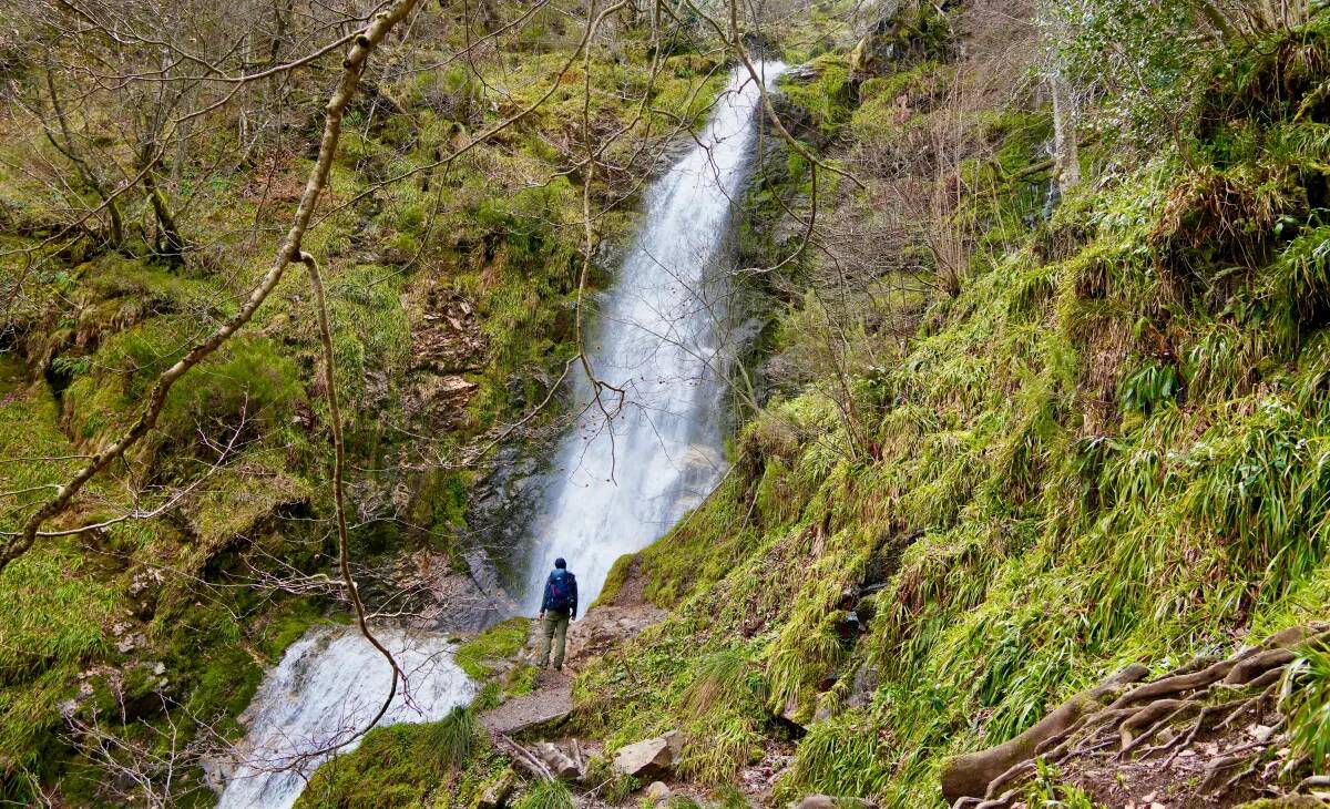 Foto: Un senderista contempla la triple cascada de esta popular ruta asturiana. (Montaña y Corazón)