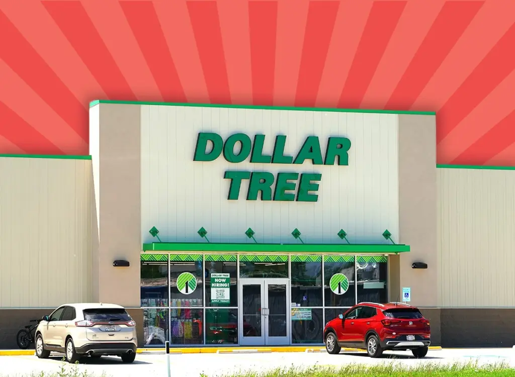 Decoración del hogar con Dollar Tree: 11 tesoros que parecen de lujo por 1€