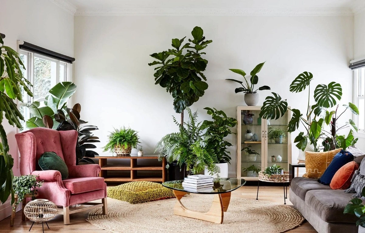 Diseño de interiores: el truco de 2026 para que tus plantas de interior no mueran - image 1