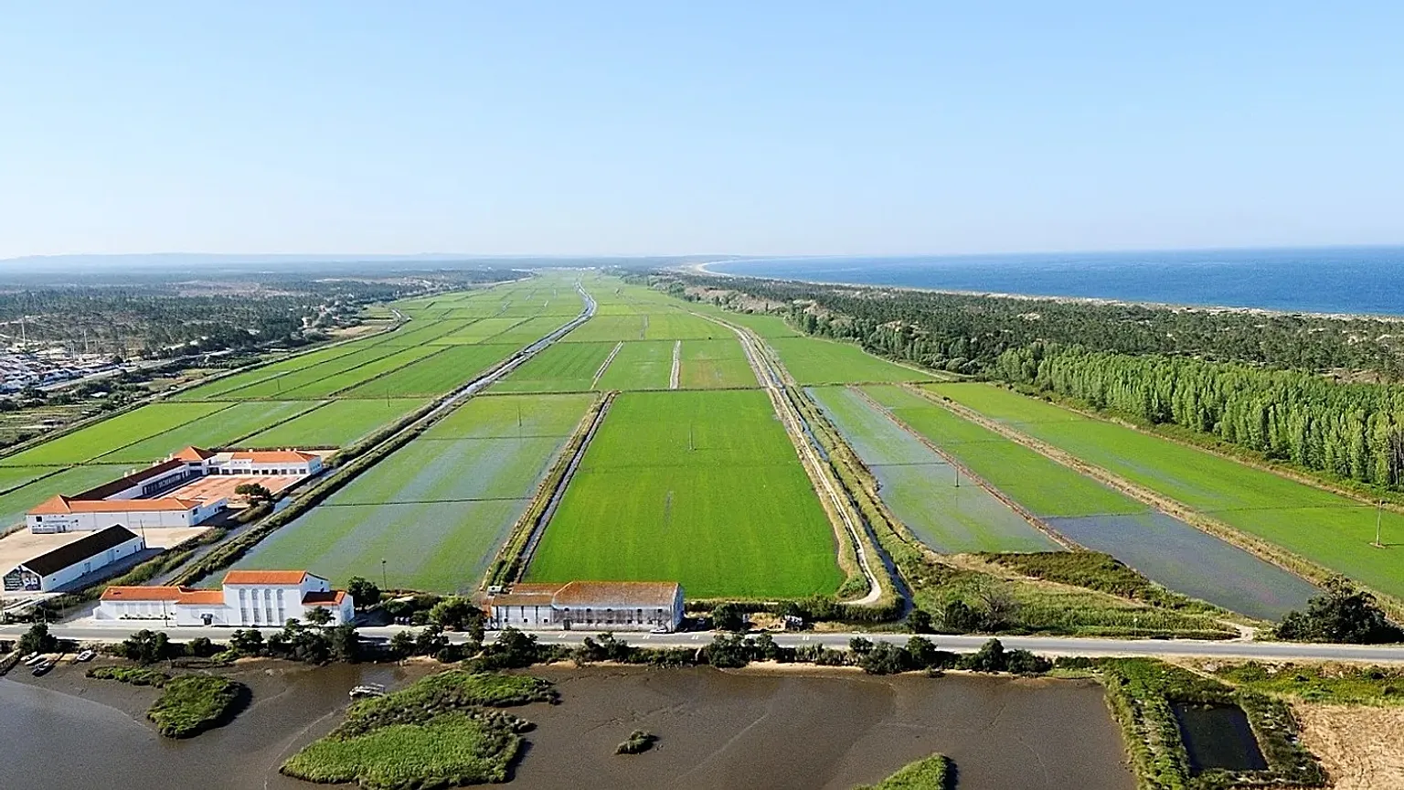 A view of the countryside around Comporta, 29 January, 2013