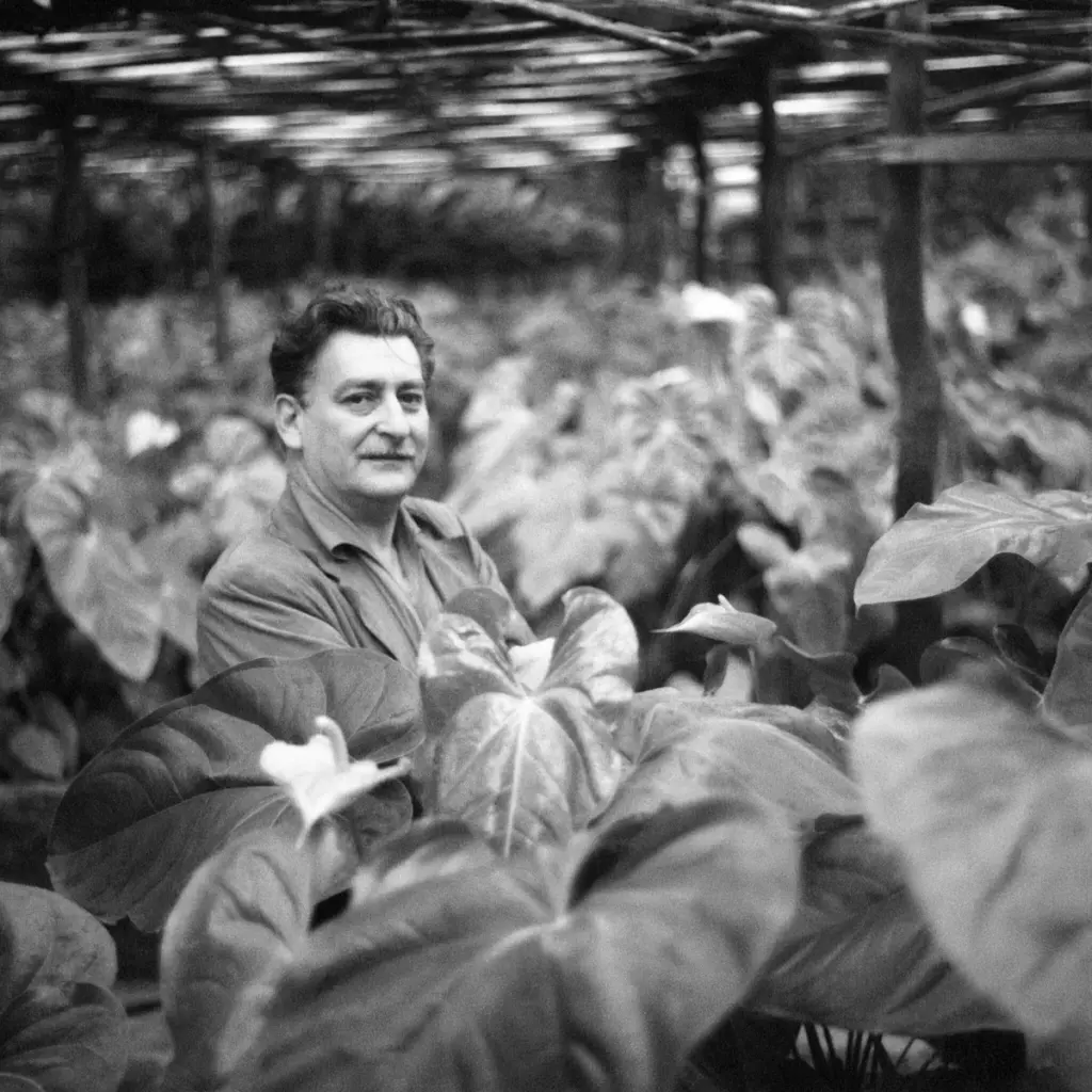 El secreto de Roberto Burle Marx en Fazenda Vargem Grande: jardines sin riego