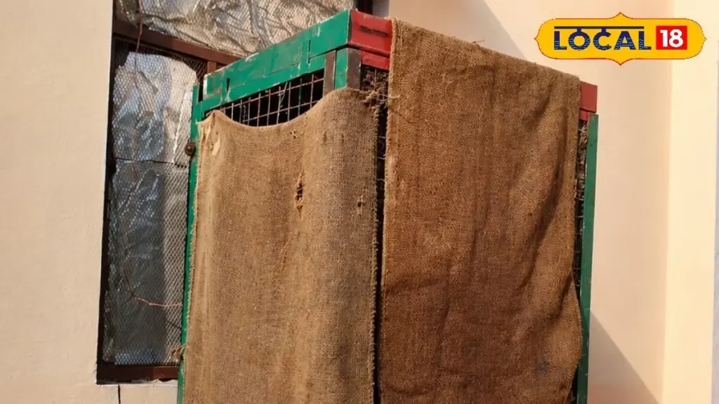 Enfriador de aire: el truco del Yute que ahorra un 40% de agua y enfría más