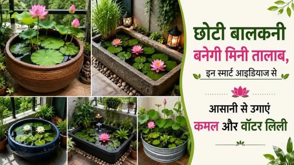 Estanque de jardín en miniatura: el truco para un Loto espectacular