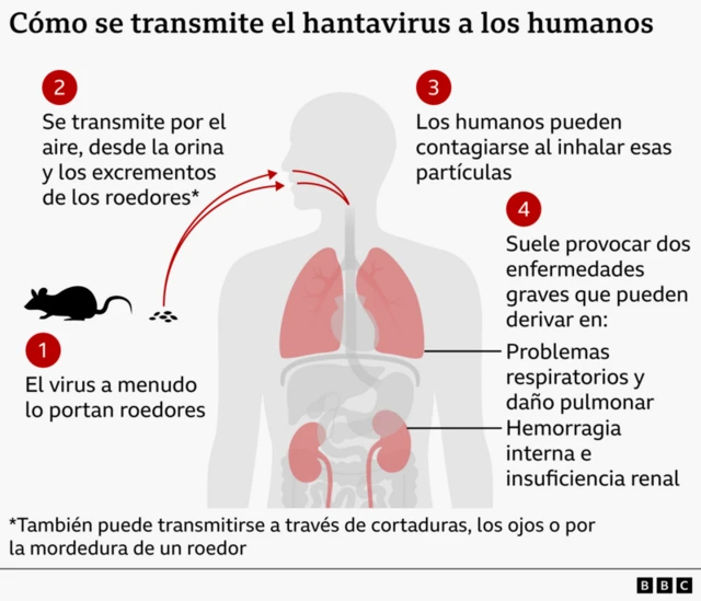 Transmisión del hantavirus