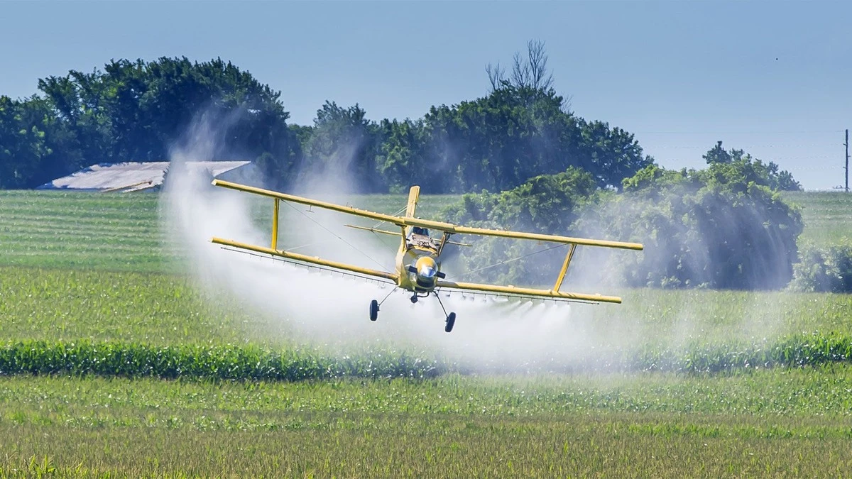 Fallo histórico en Entre Ríos: 3.000 metros de distancia contra los agrotóxicos - image 1