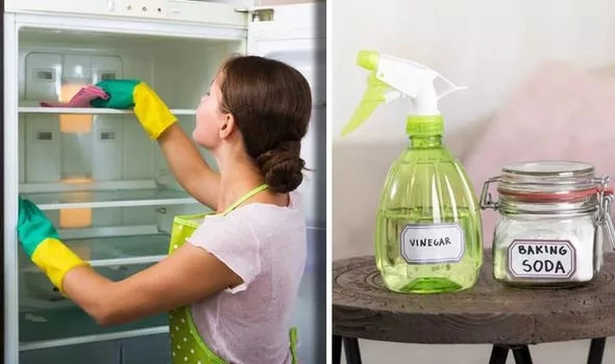 Frigorífico impecable: el truco del vinagre blanco para ahorrar un 25% de luz - image 1