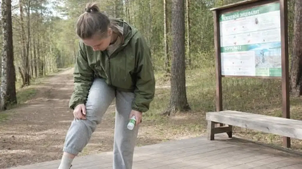 Garrapatas (Ixodida): el truco de las 2 gotas en tus zapatillas sin usar Repelentes de insectos químicos