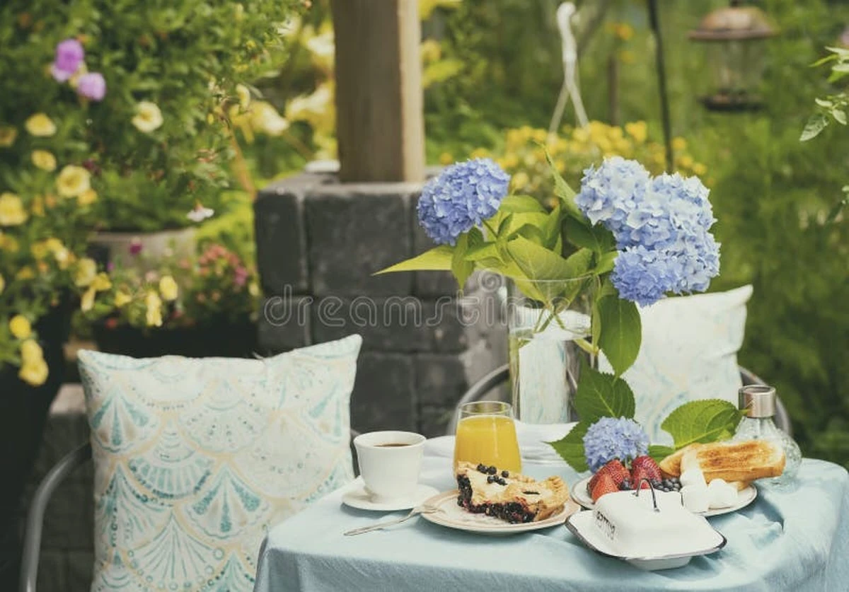 Hortensia azul y radiante: no tires los posos de café y haz esto - image 1