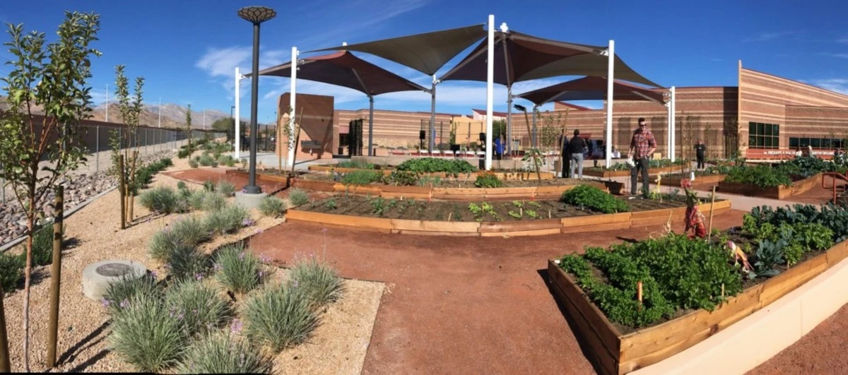 Huerto resiliente: el método de Klaus Laitenberger y Tilled Earth para ahorrar 60% de agua - image 1