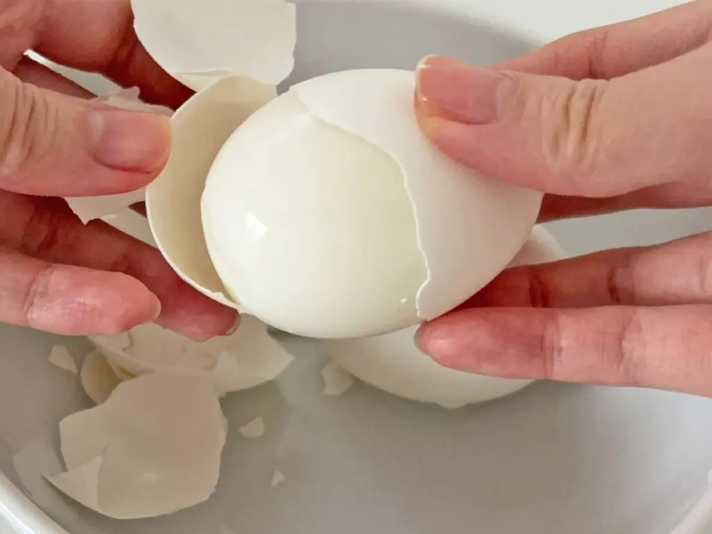 Huevos perfectos sin vitro: el invento de ANABAS que ahorra 70% de agua