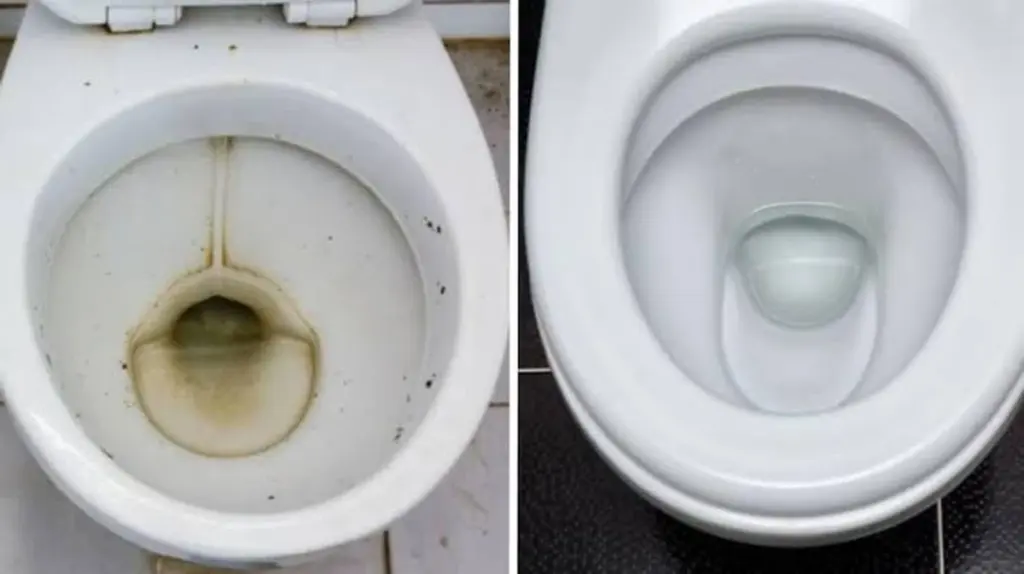Inodoro amarillo por la cal: el truco del vinagre blanco para dejarlo blanco hoy