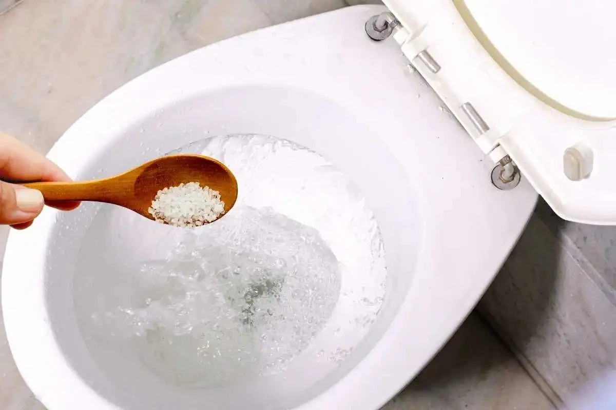 Inodoro impecable: por qué echo una taza de sal antes de dormir - image 1