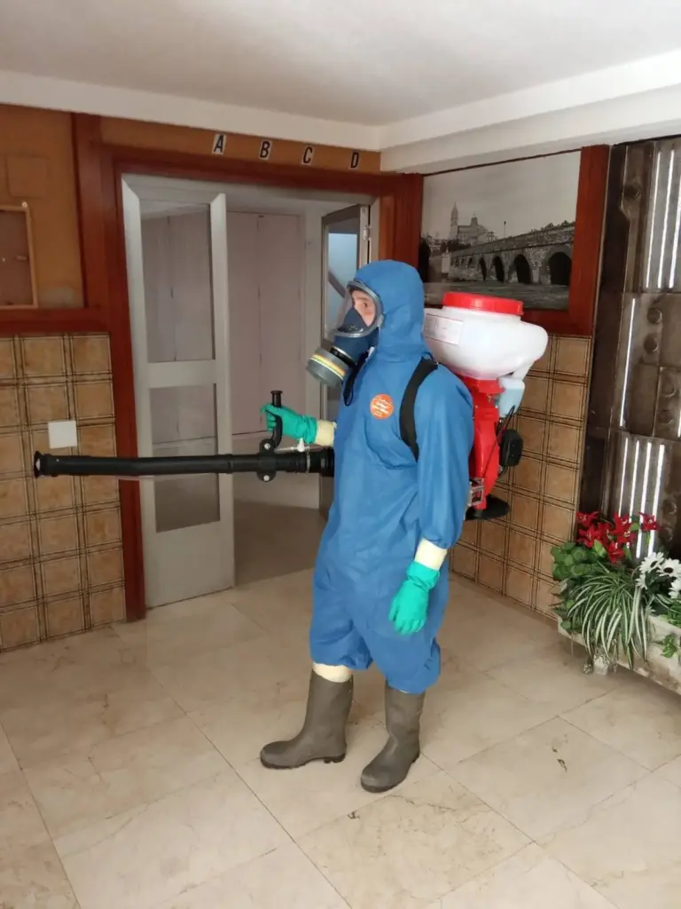 Invasión en Salamanca: por qué la Cucaracha americana ya no muere con spray